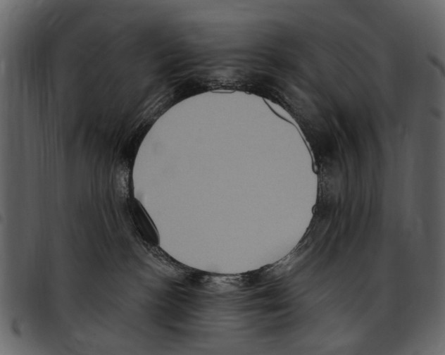 X0000097510188200803201623