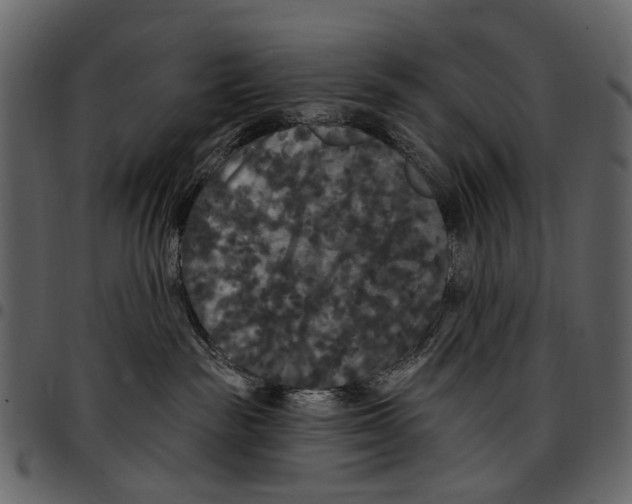 X0000097510189200803201623