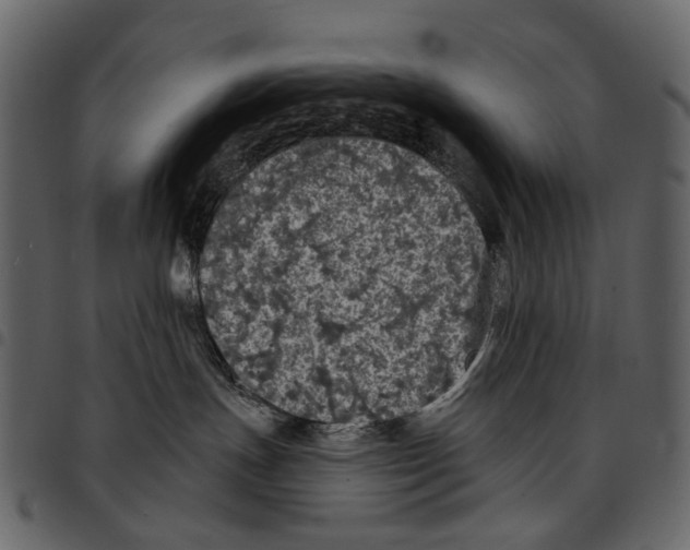 X0000097510191200803201623