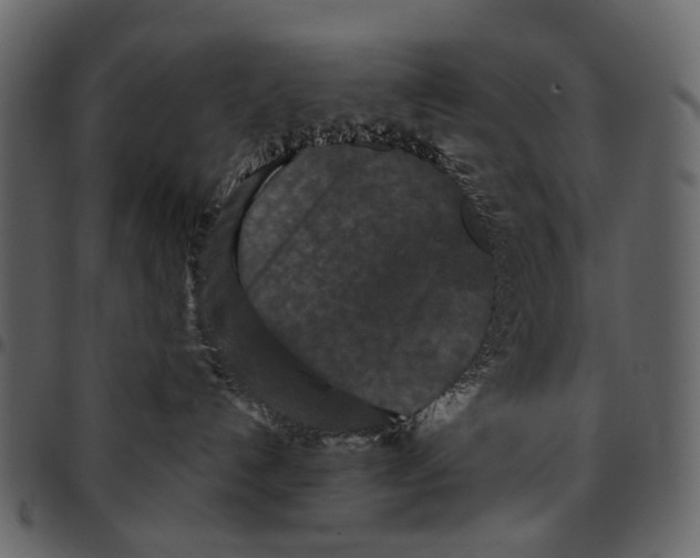 X0000097510192200803201623