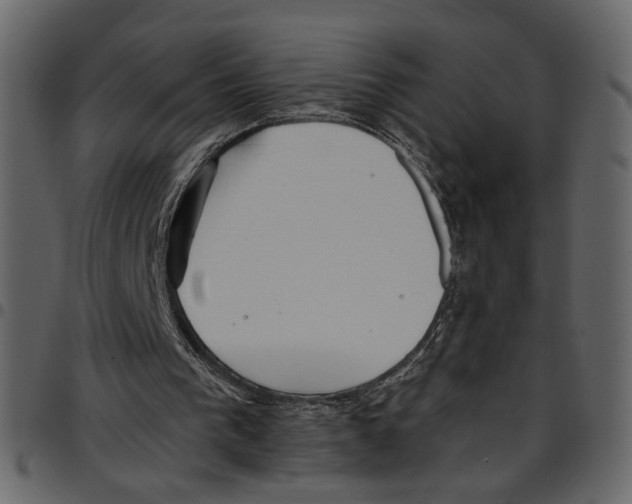 X0000097510193200803201623