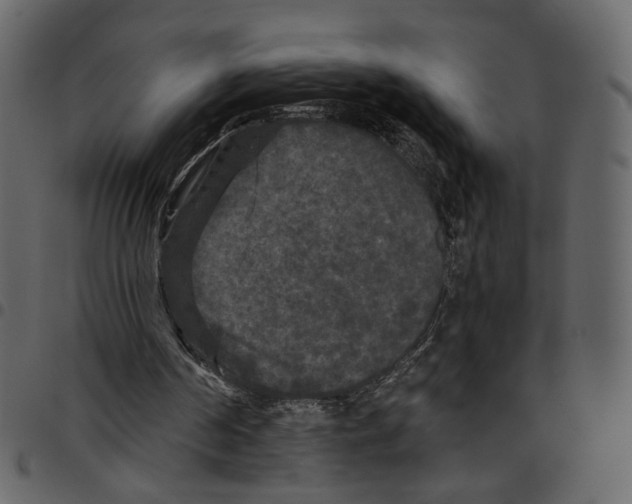 X0000097510194200803201623