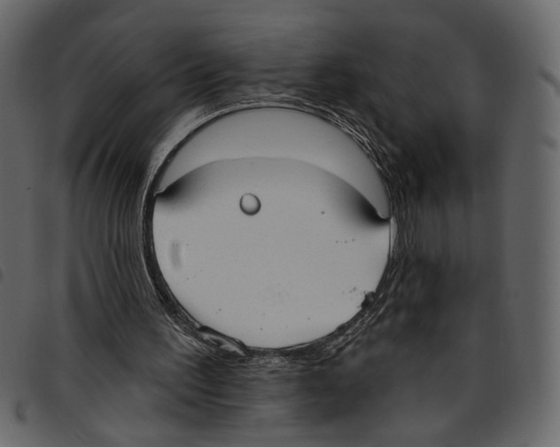 X0000097510195200803201623
