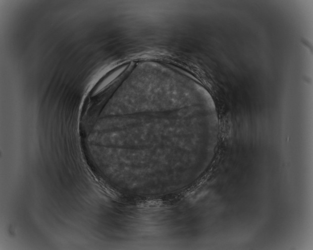 X0000097510196200803201623