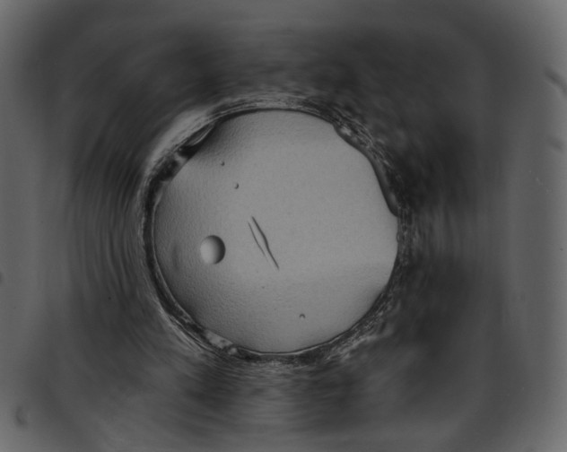 X0000097510197200803201623