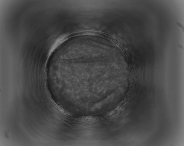 X0000097510198200803201623