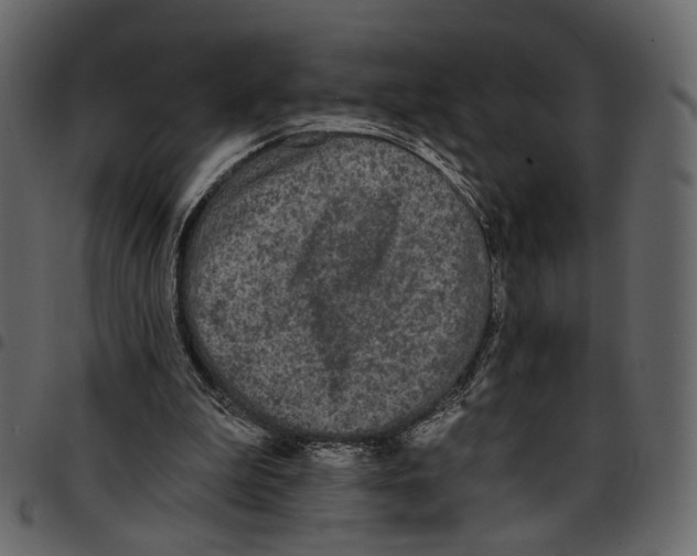 X0000097510199200803201623