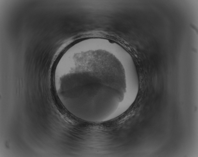 X0000097510200200803201623