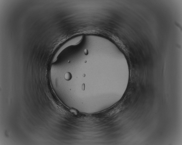 X0000097510201200803201623