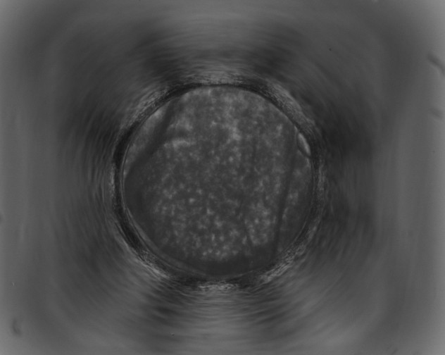 X0000097510202200803201622