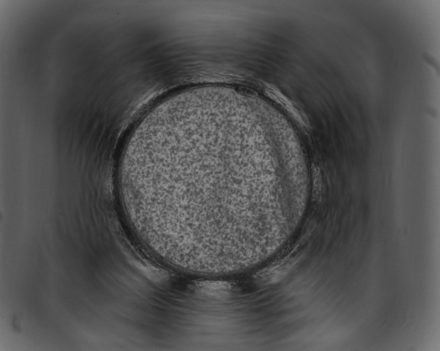 X0000097510203200803201622