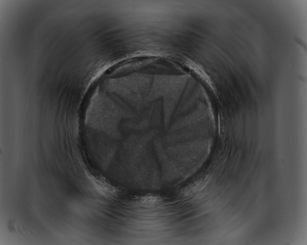 X0000097510204200803201622