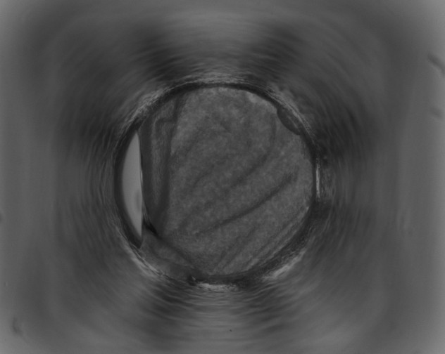 X0000097510205200803201622