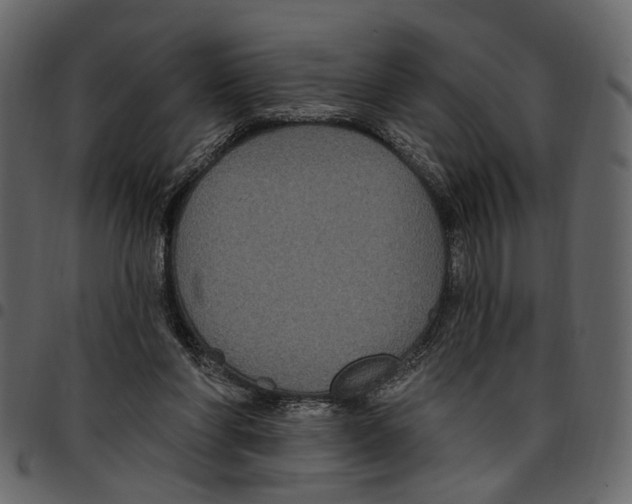 X0000097510206200803201622
