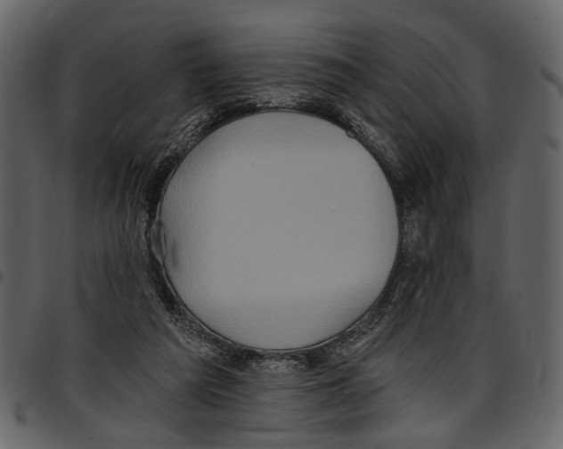 X0000097510209200803201622