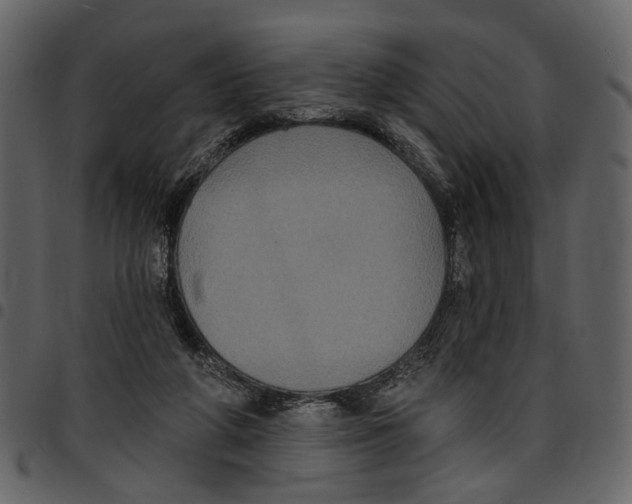 X0000097510210200803201622
