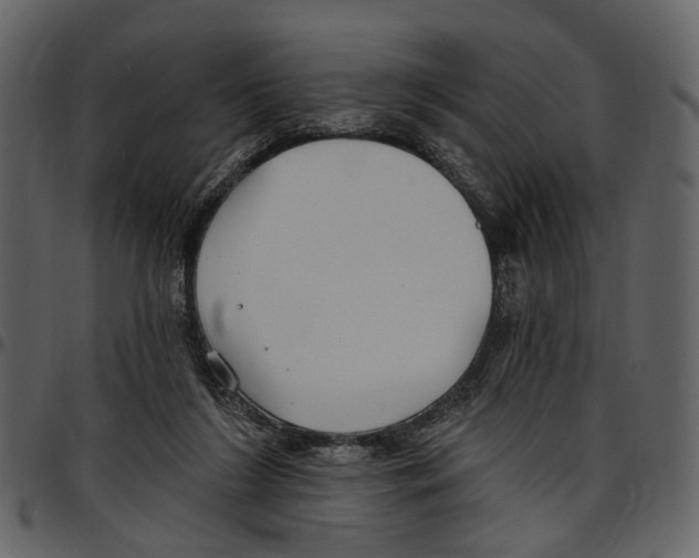 X0000097510212200803201622