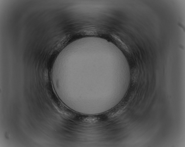 X0000097510213200803201622