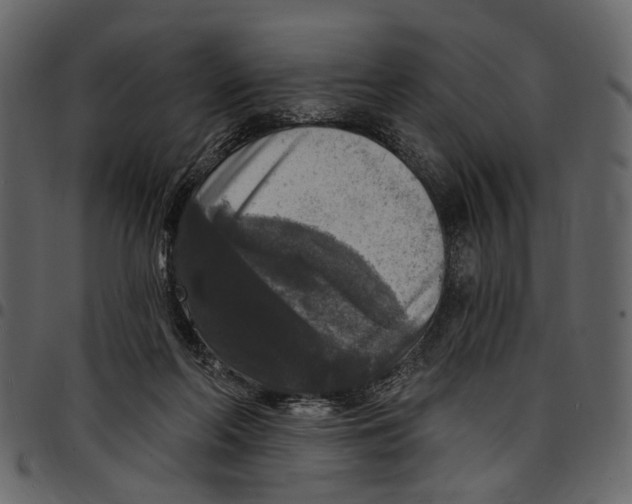 X0000097510214200803201622