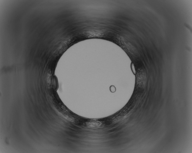 X0000097510215200803201622