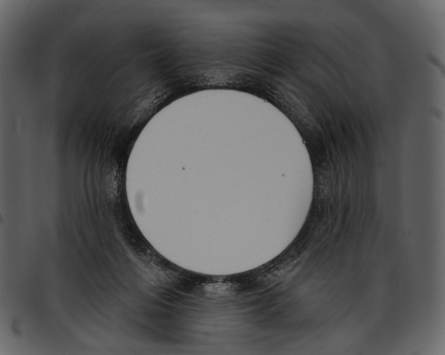 X0000097510216200803201622