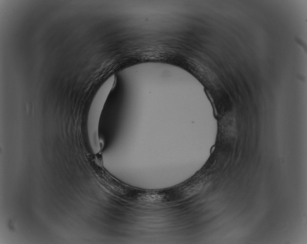 X0000097510217200803201622