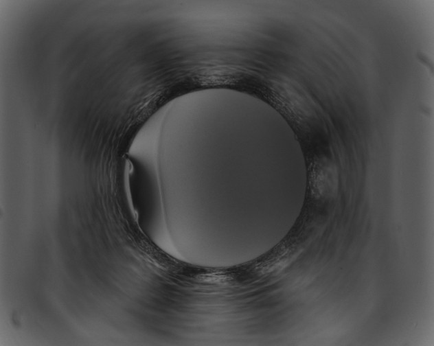 X0000097510219200803201622