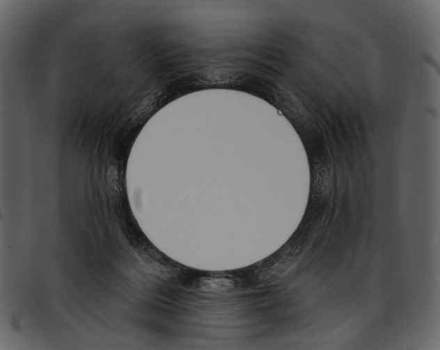 X0000097510220200803201622