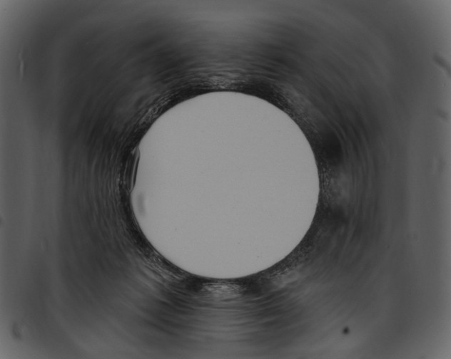 X0000097510221200803201622