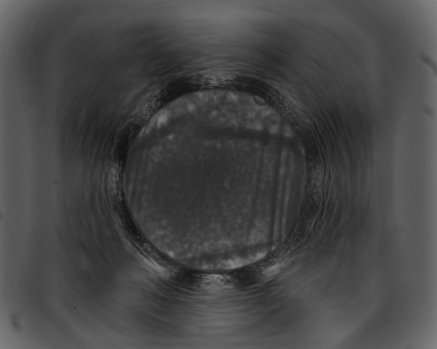X0000097510222200803201622