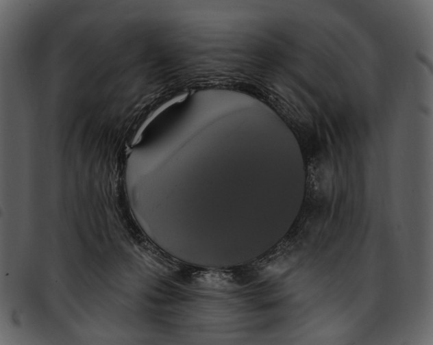 X0000097510223200803201622