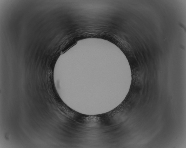 X0000097510225200803201622