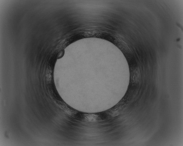 X0000097510226200803201622