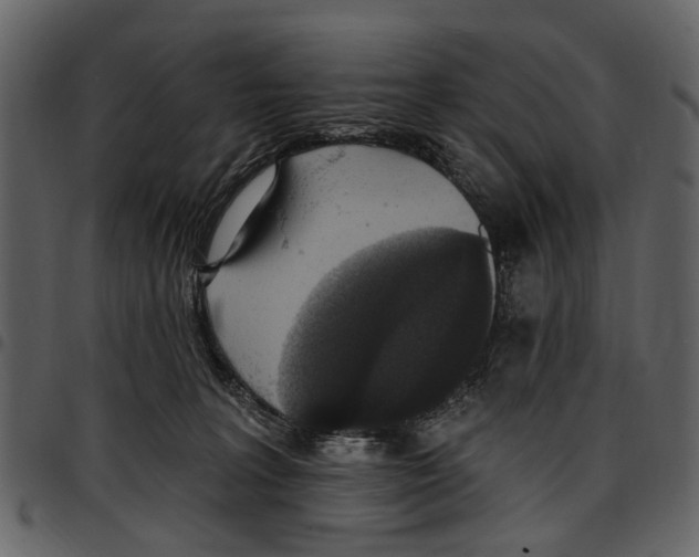 X0000097510227200803201622