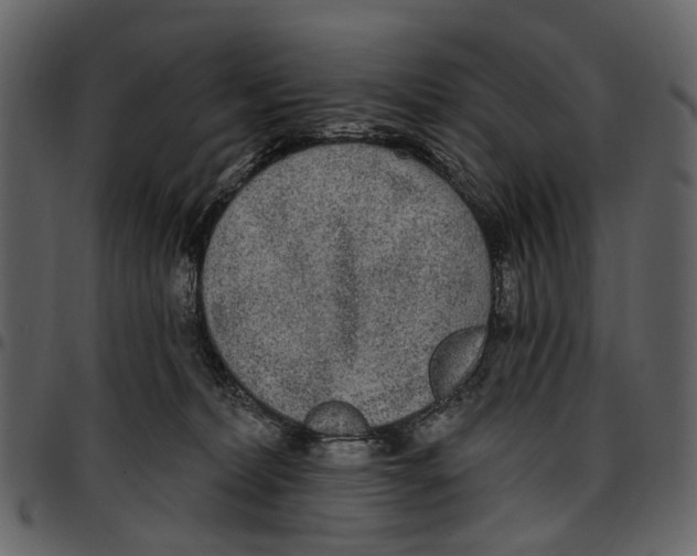 X0000097510228200803201622