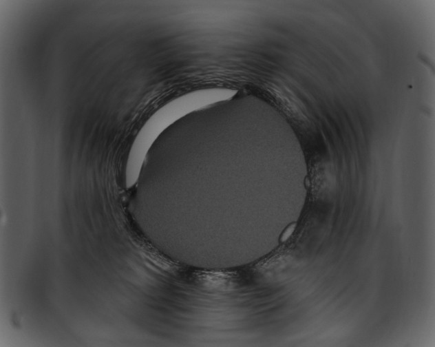 X0000097510229200803201622