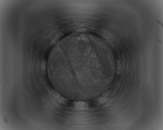 X0000097510230200803201622