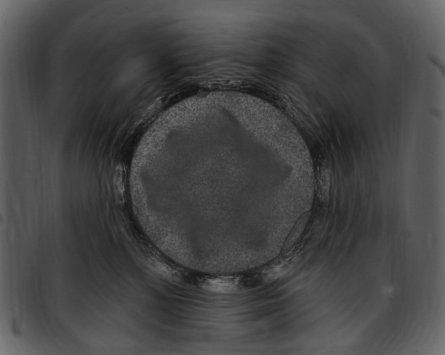 X0000097510232200803201622