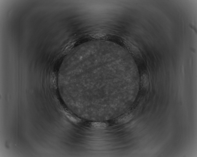 X0000097510234200803201622