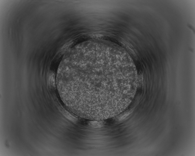 X0000097510238200803201622