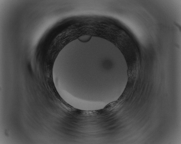 X0000097510239200803201622