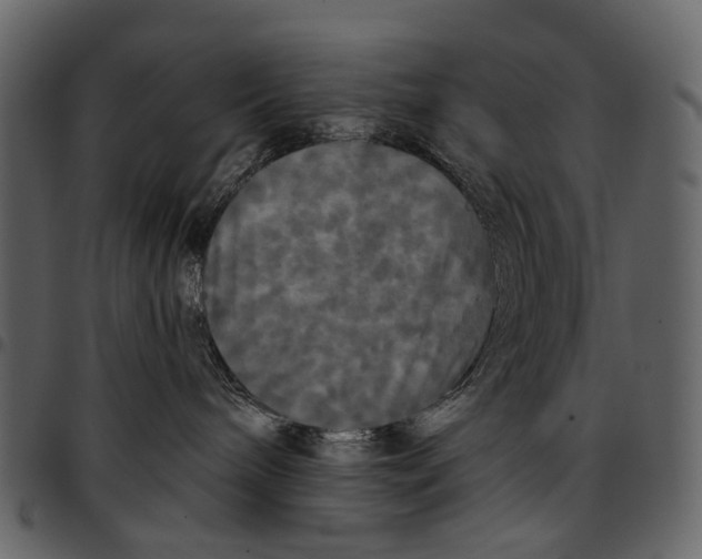 X0000097510240200803201622
