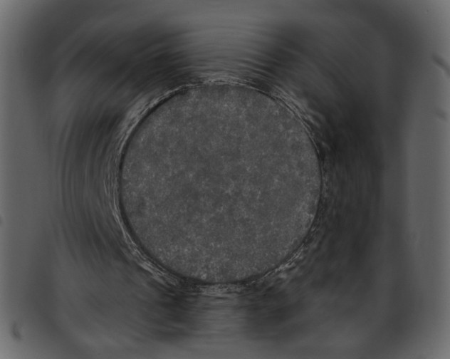 X0000097510241200803201621