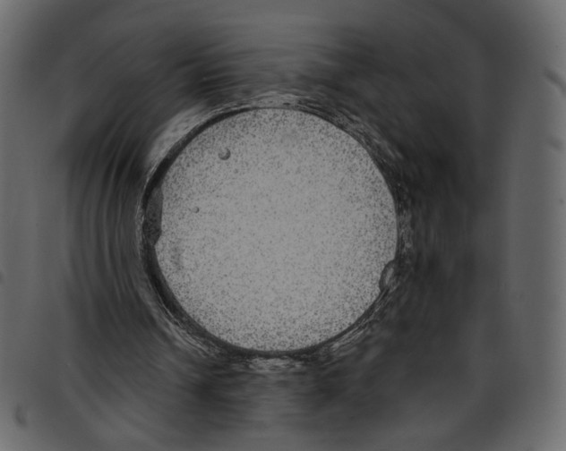 X0000097510242200803201621
