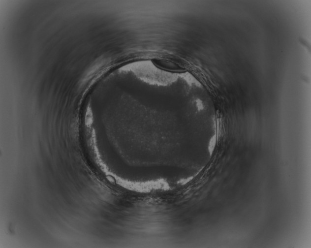 X0000097510243200803201621