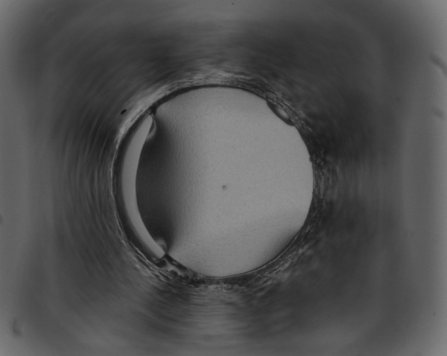 X0000097510244200803201621