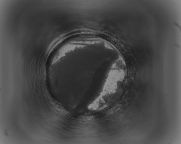 X0000097510247200803201621