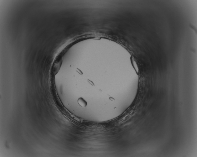 X0000097510248200803201621