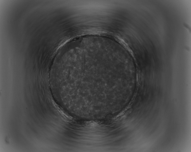 X0000097510249200803201621