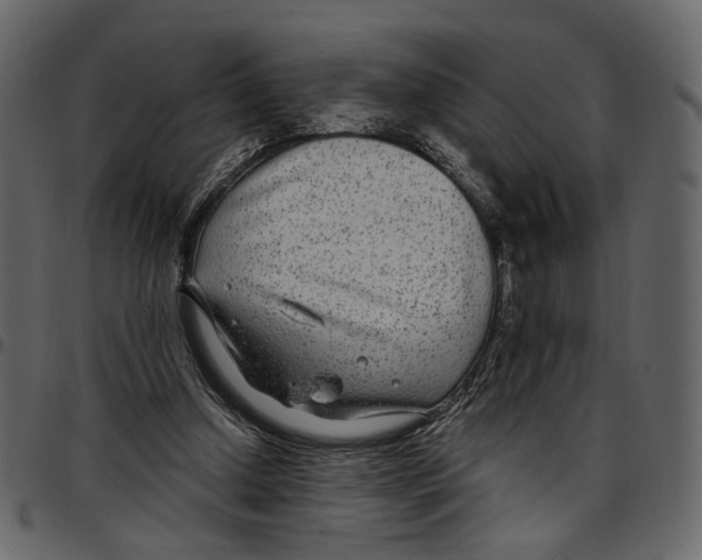 X0000097510250200803201621